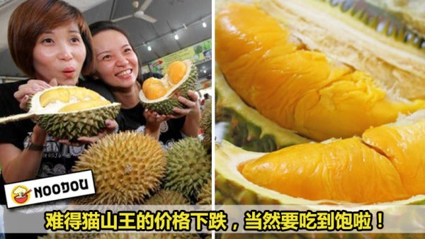 Feature Image durian 3