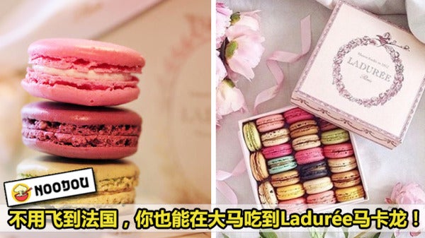 feature image laduree 2