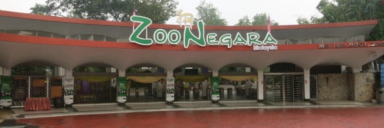 If Your Birthday Falls In December You Can Visit Zoo Negara For Free World Of Buzz 6