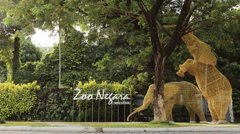 If Your Birthday Falls In December You Can Visit Zoo Negara For Free World Of Buzz