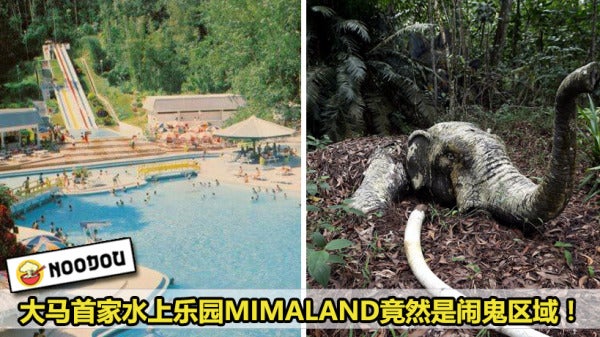 Mimaland Featured 2