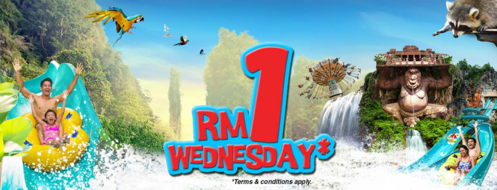 Rm1 Wednesday