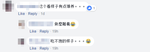 Comment Nan yang