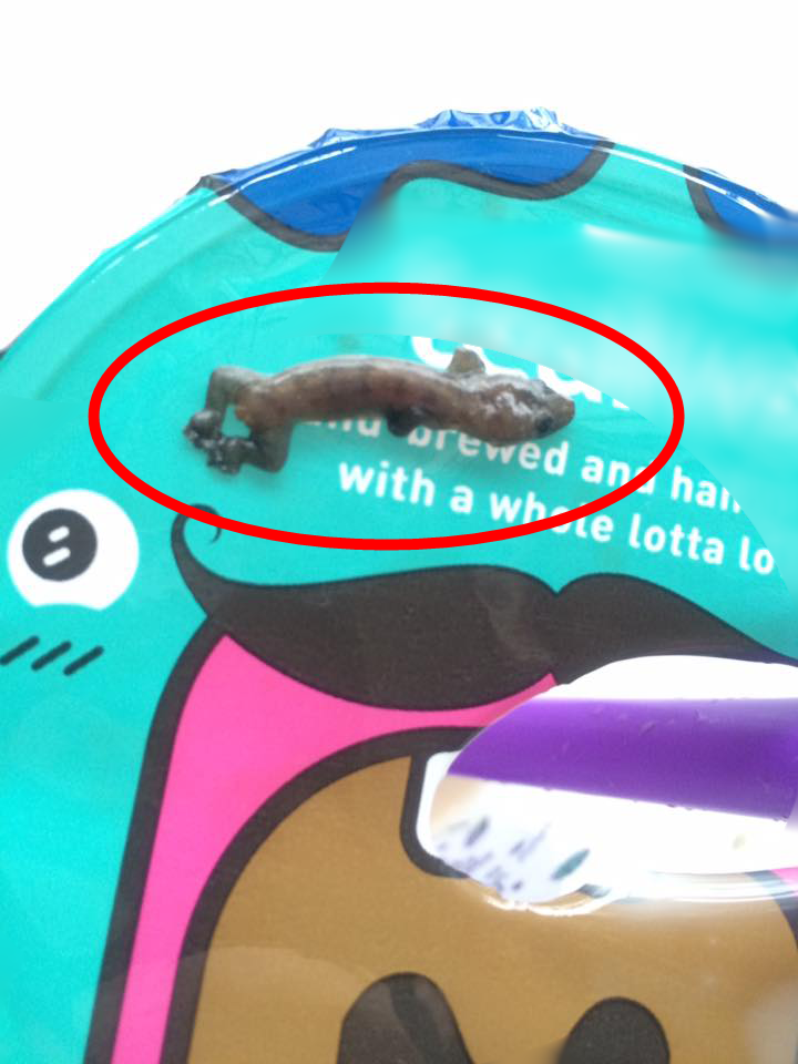 Msian Traumatised After Spitting Out Lizard In Popular Bubble Tea Drink World Of Buzz 1