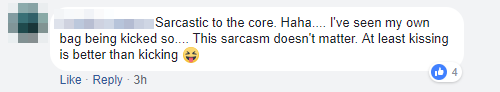 Comment Sarcastic