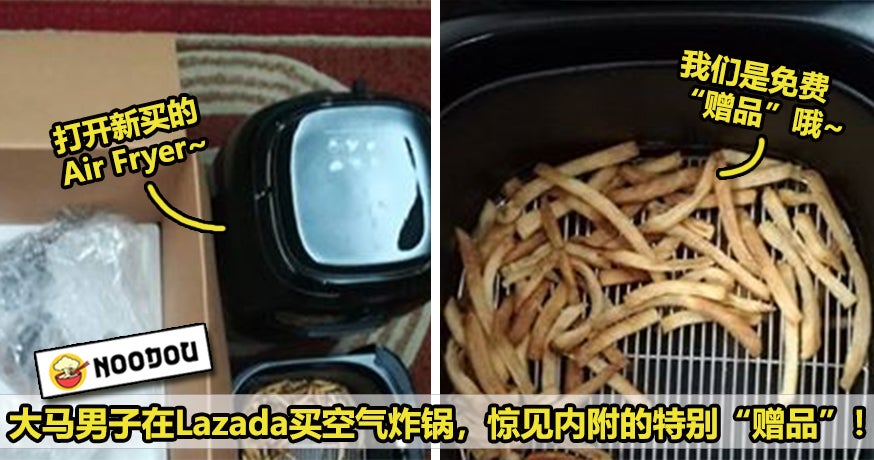 Lazada Air Fryer With Fries Featured 1