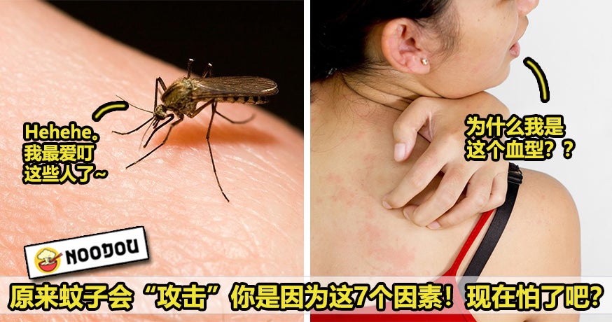 Why Mosquito Bite Featured 1 1