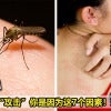Why Mosquito Bite Featured 1