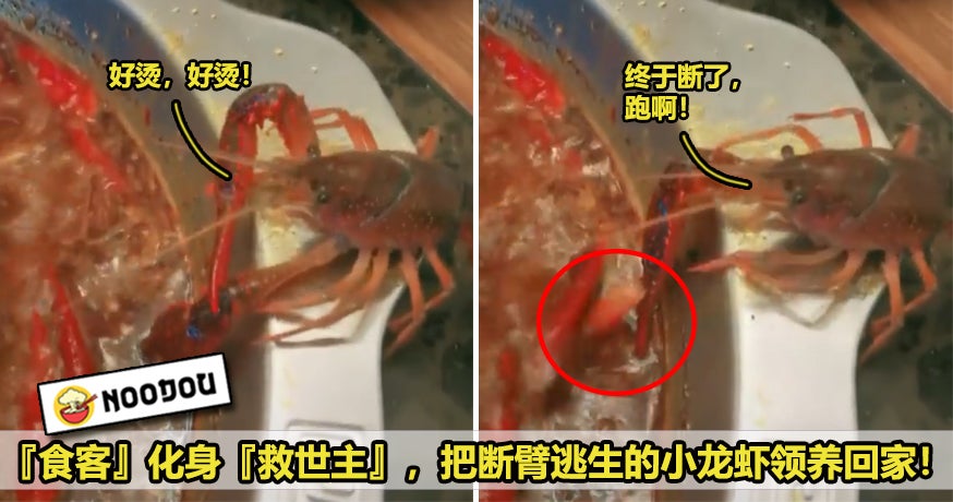 Crayfish Featured 1