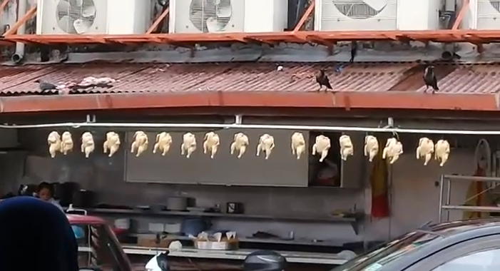 Msians Outraged After Popular Melaka Restaurant Exposed For Displaying Chicken Meat Outdoors World Of Buzz 2