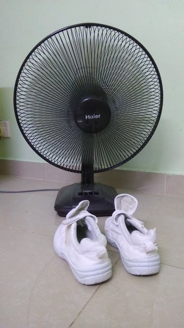 Fan Blow Dry