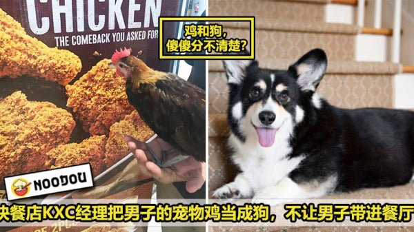 Chicken KFC Featured 1