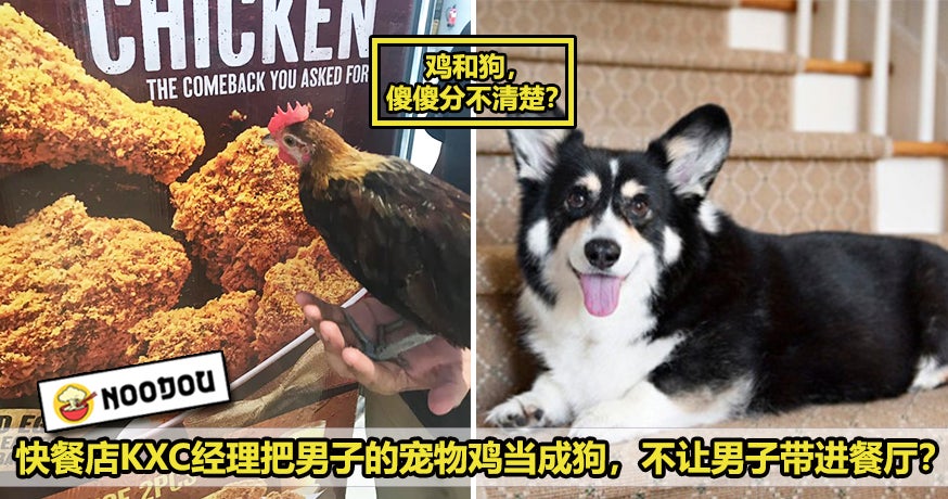 Chicken Kfc Featured 1