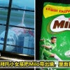 Milo Plane Featured