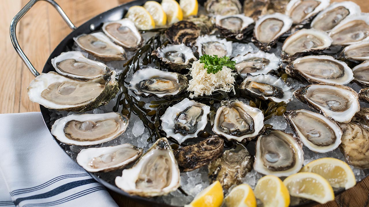 Oysters