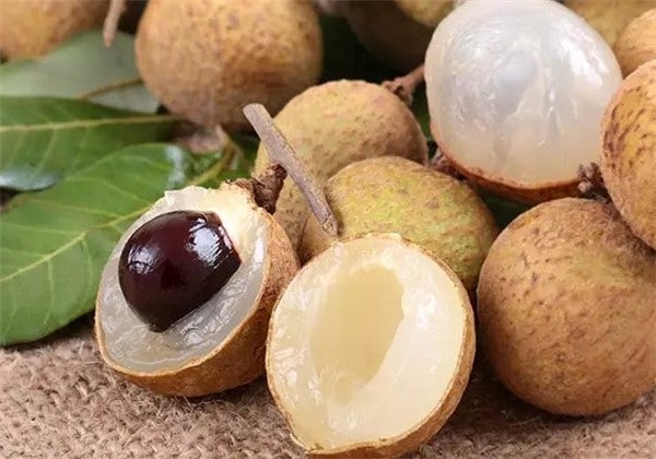 Longan