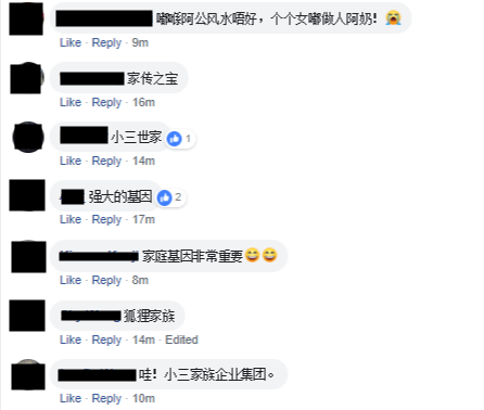 Screenshot Www.facebook.com 2019.04.19 13 29 57 副本