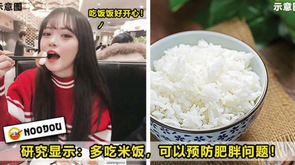 Rice