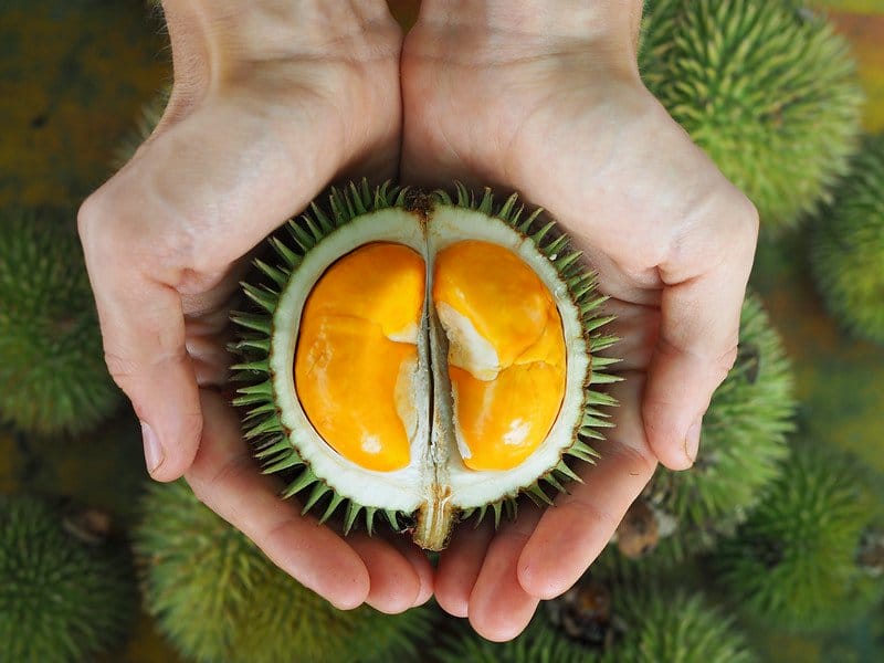 durian2