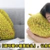 Durian Cushion Featured