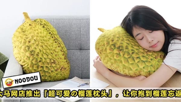 Durian Cushion Featured