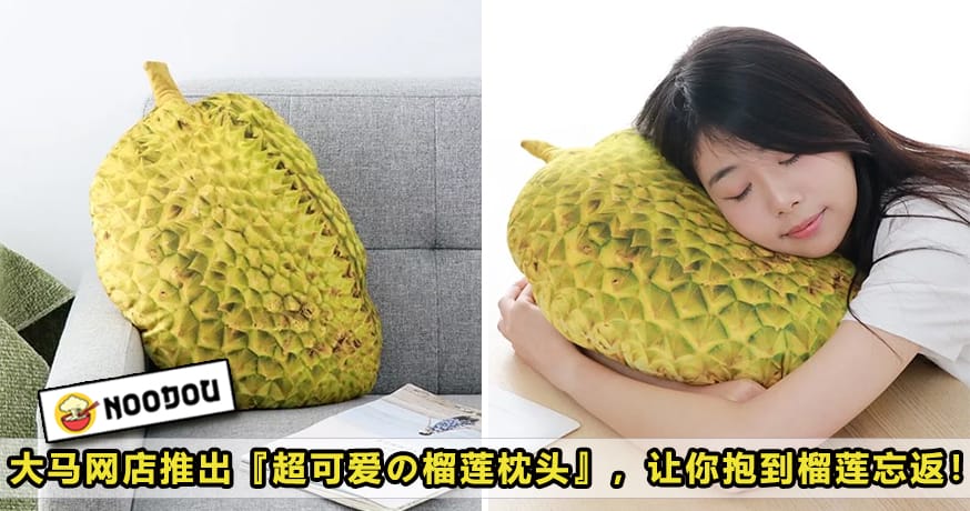 Durian Cushion Featured