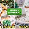 Coriander Instant Noodle Featured 2