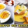 Egg Featured