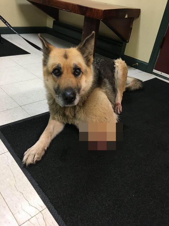 69779917 2618397021553175 3437432704046465024 o