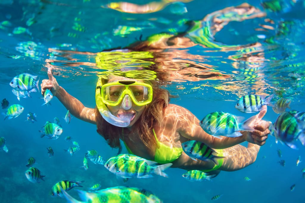 Snorkeling Koh Tao 2