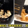 Air Fryer Featured