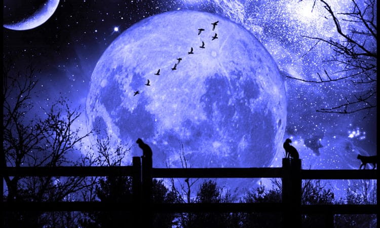 blue moon 750x450 1