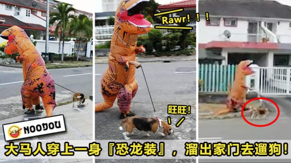 Dino Walk Dog Featured