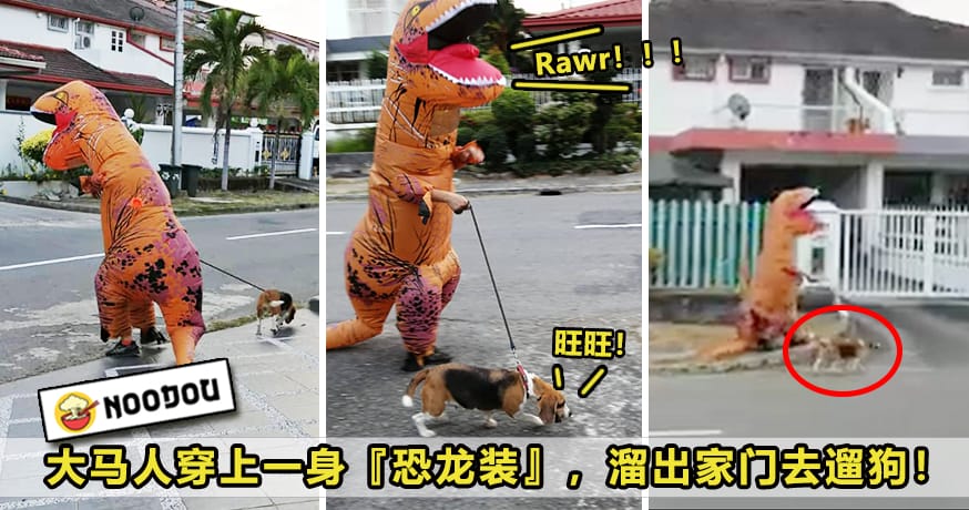 Dino Walk Dog Featured