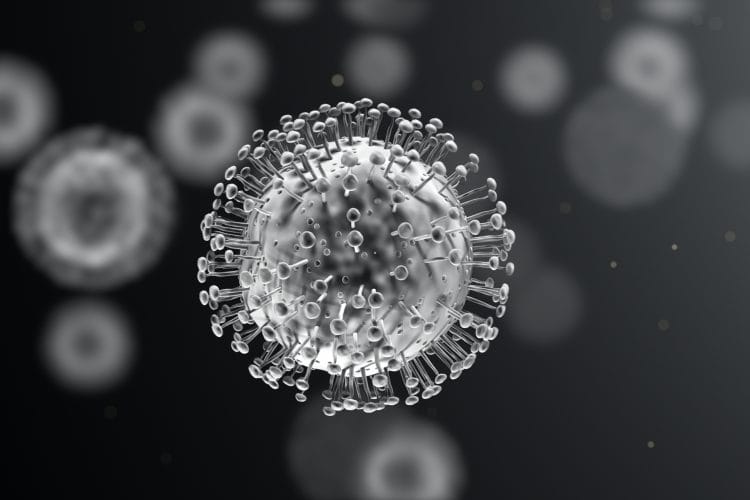 Coronavirus Targets Image 750X500 1