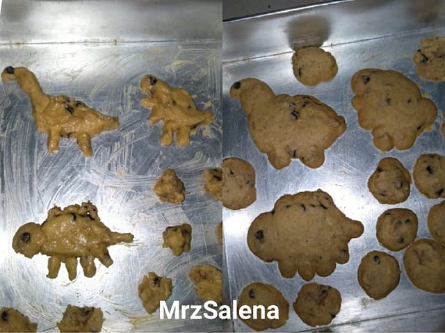 Biskut Dinosaur Facebook Mrzsalena Leen