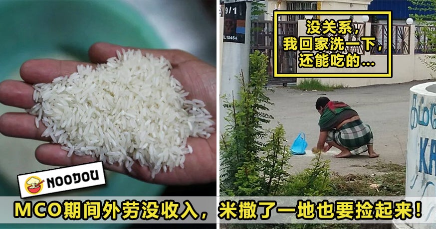 Kutip Rice Featured