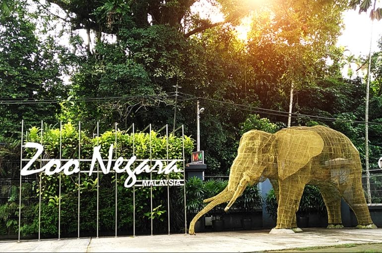 Zoo Negara Seeking Donations 770X510 1