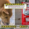 Racun Dog Halal Featured