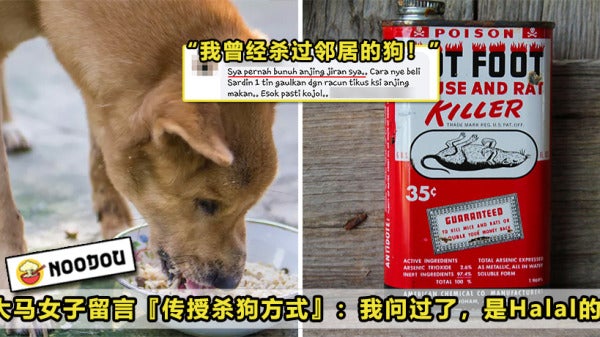 Racun Dog Halal Featured