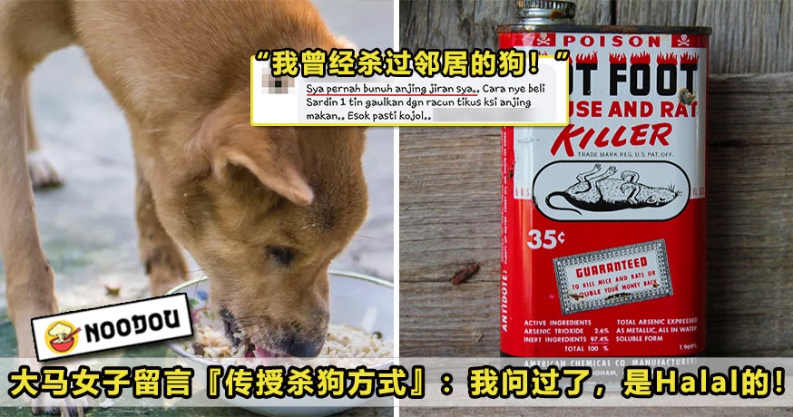 Racun Dog Halal Featured