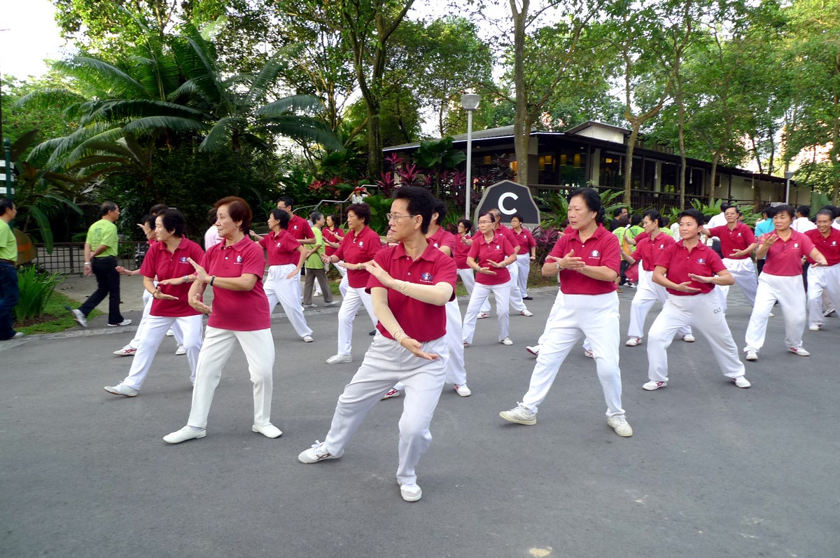 Tai Chi at Bishan Park