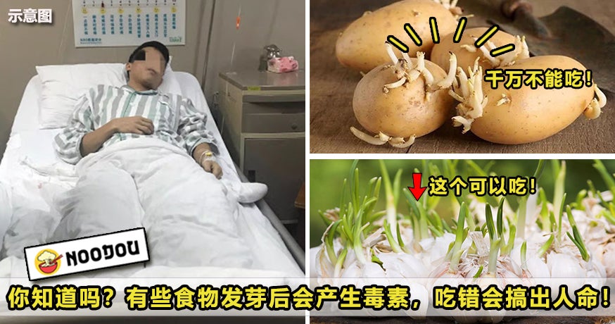 食物中毒 2