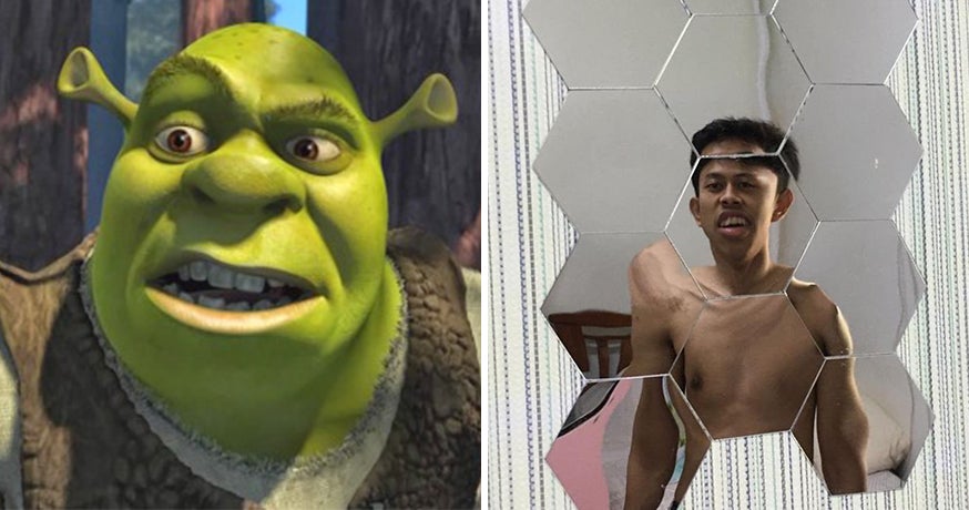 Shrek mirror