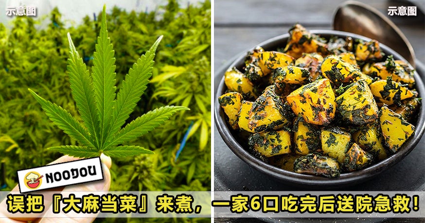 Marijuana Foodfeatured