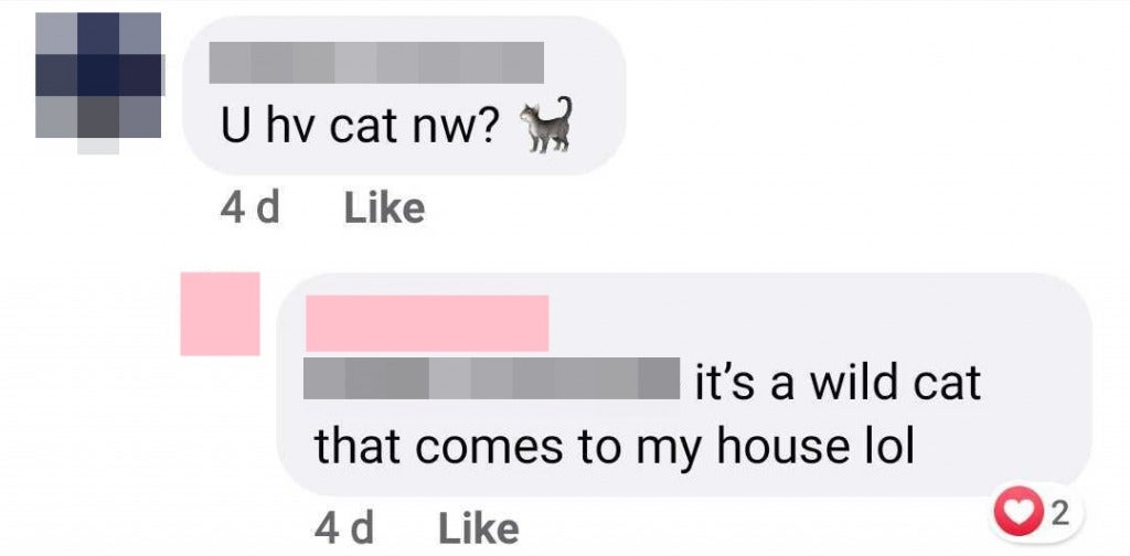 Comment Wild Cat