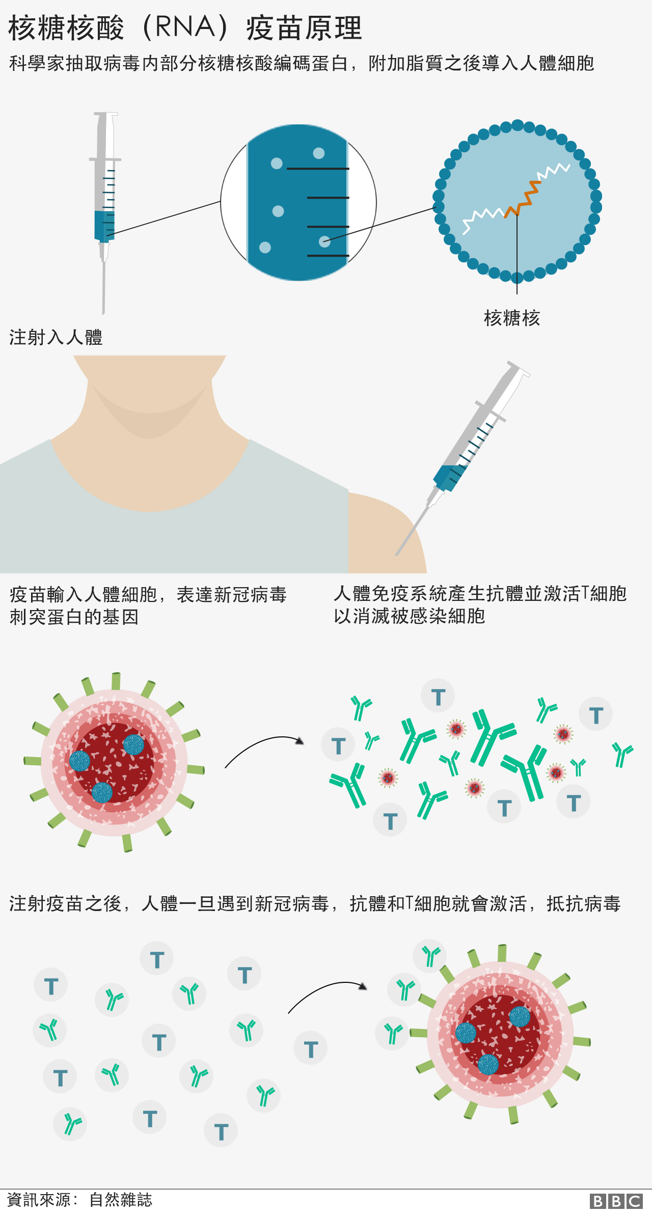 115332925 covid19 how vaccines work v3 chinese nc