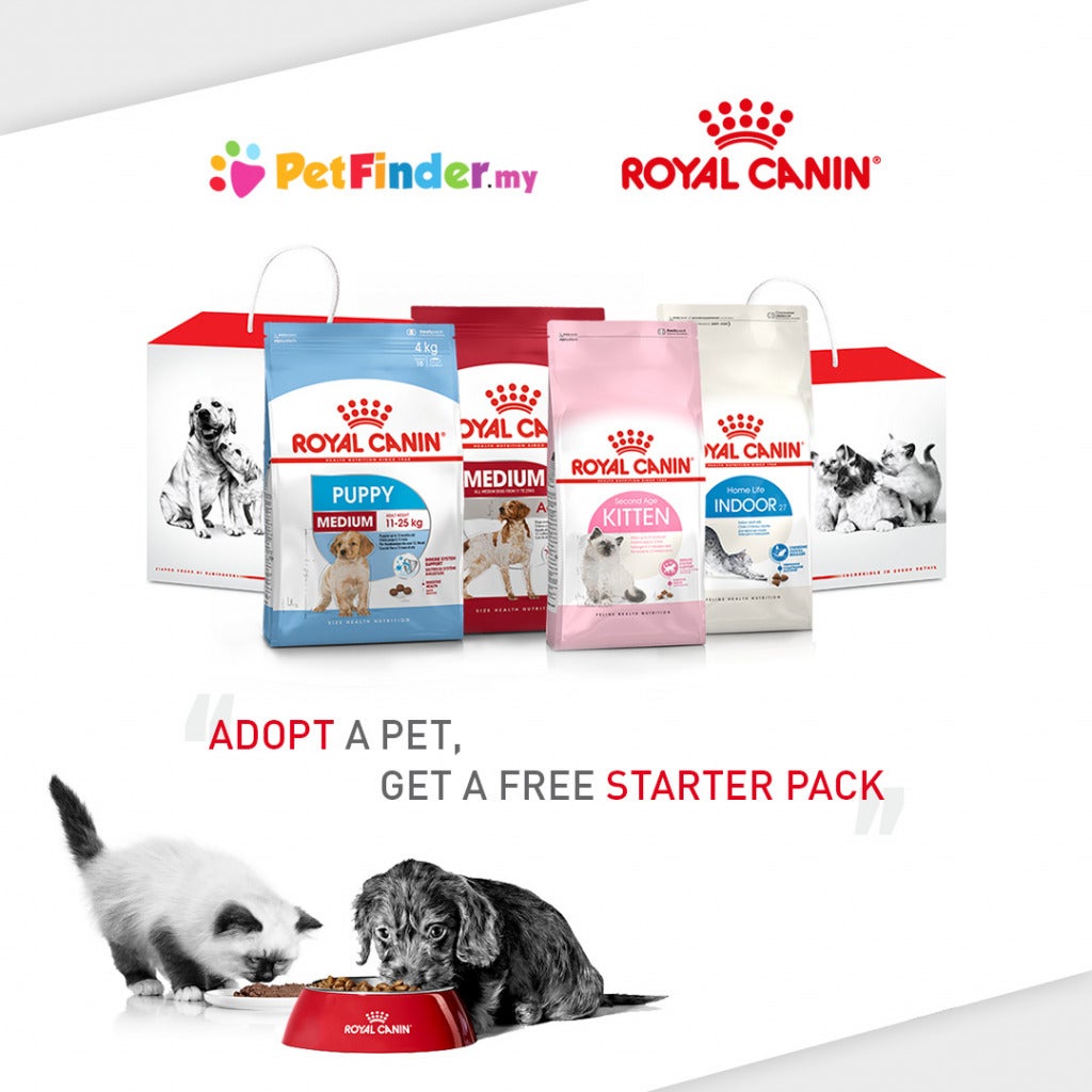 Petfinder Royal Canin Starter Pack Square Banner