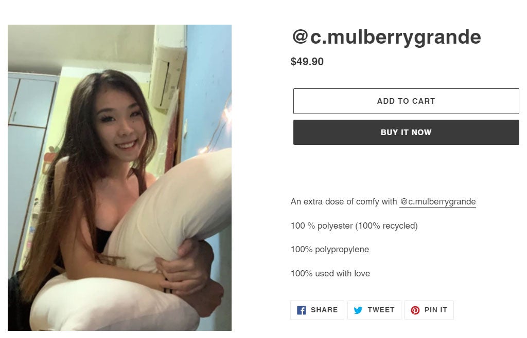 Pre Loved Pillow 49 Dollars