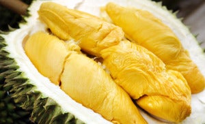 榴莲 02Musang King